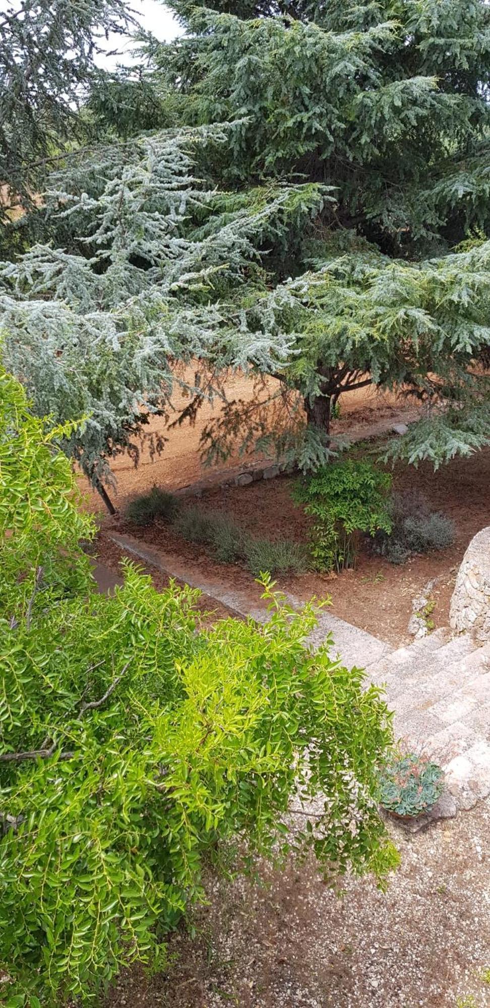 Villa Isabella Ostuni Bagian luar foto